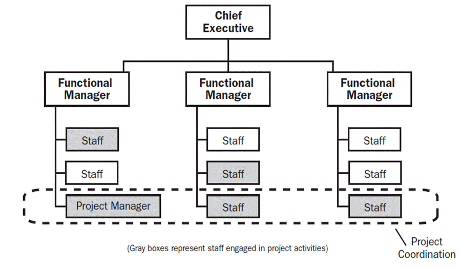 matrix organization